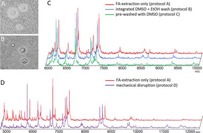 CryptoType – Public Datasets for MALDI-TOF-MS Based Differentiation of Cryptococcus neoformans/gattii Complexes